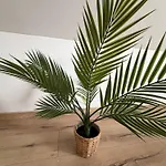 דירה Modernes Zentrales