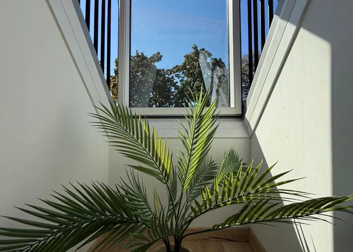 Modernes Zentrales Apartament *