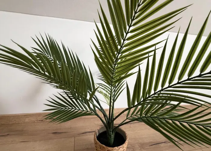 Appartamento Modernes Zentrales